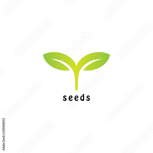 seeds logo vector design concept