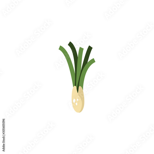 vegetable leek flat style icon