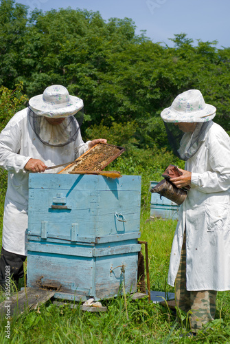 Beekeepers at hive 12