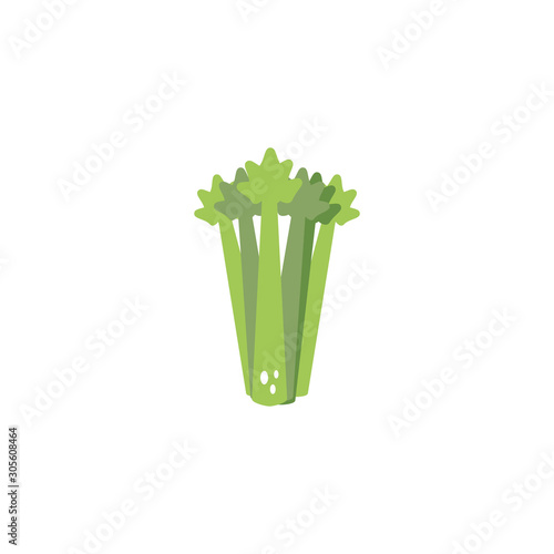 vegetable celery flat style icon