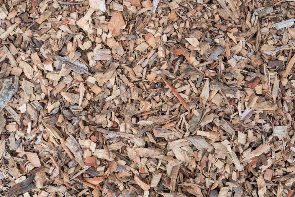 Closeup Sliver wood the wooden chips or surface of pieces of wood bark background