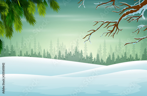 Winter background with branch of christmas tree