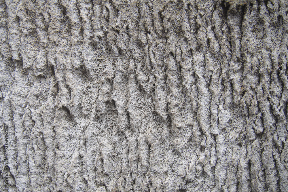 texture of old gray concrete wall texture of old gray concrete wall
