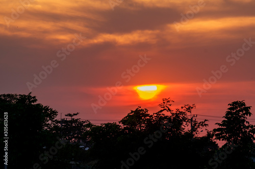 Big red sun is falling from clouds at sunset with silhouette of tree