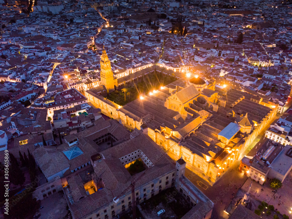 Obraz premium Mosque-cathedral of Cordoba