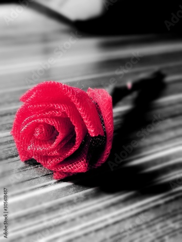 rose