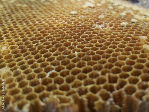 honey