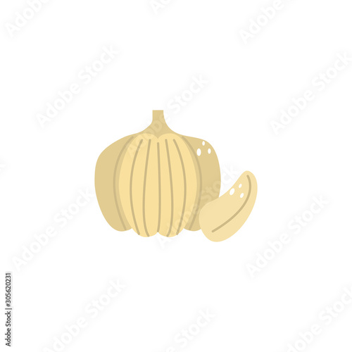 vegetable garlic flat style icon