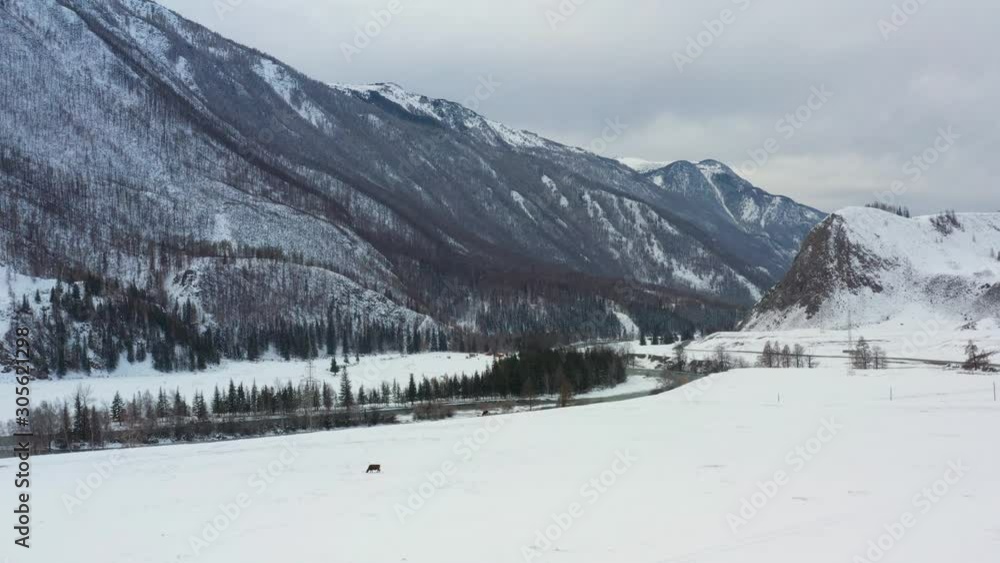 Great Altai mountains in autumn colors, flying on a quadcopter near the mountains Great Altai mountains in autumn colors, flying on a quadcopter near the mountains
