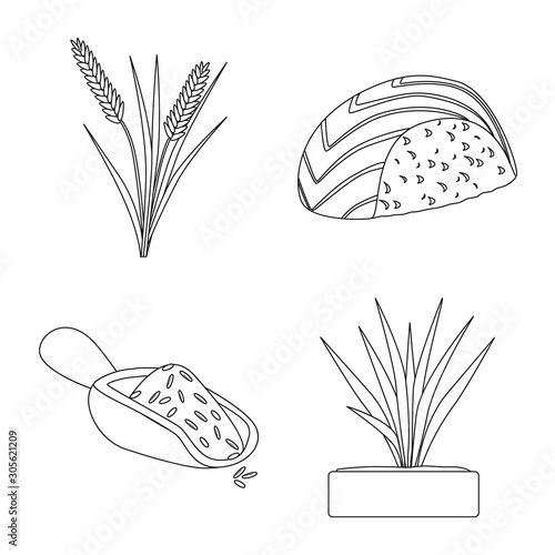 Vector design of diet and cooking icon. Collection of diet and organic vector icon for stock.