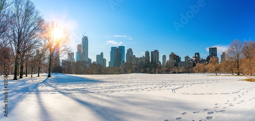 Central park at sunny winter day, New York City, USA