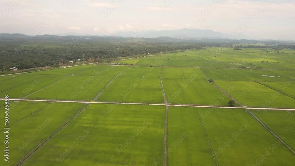 Aerial view of beautiful paddy field in Asian countries. Aerial view of beautiful paddy field in Asian countries.