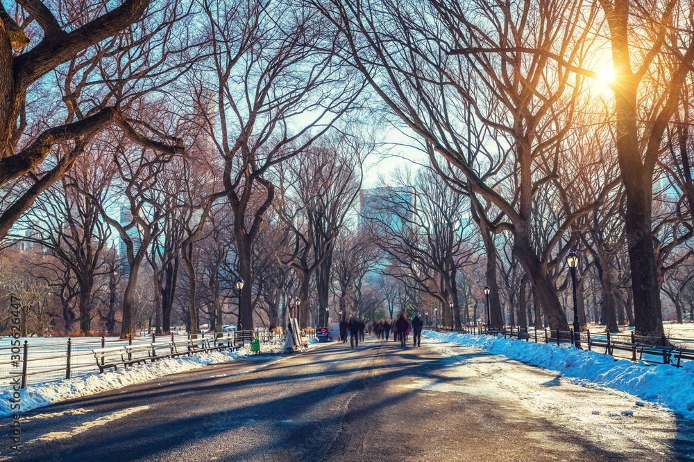 The mall in central park at sunny winter day, New York City, USA