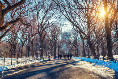 The mall in central park at sunny winter day, New York City, USA