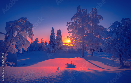 Cold winter day sunset landscape with snowy trees. Photo from Sotkamo, Finland. Background Heavy snow view. © ville