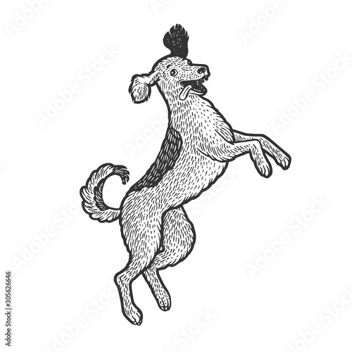 Happy jumping dancing dog pet sketch engraving vector illustration. T-shirt apparel print design. Scratch board style imitation. Black and white hand drawn image.