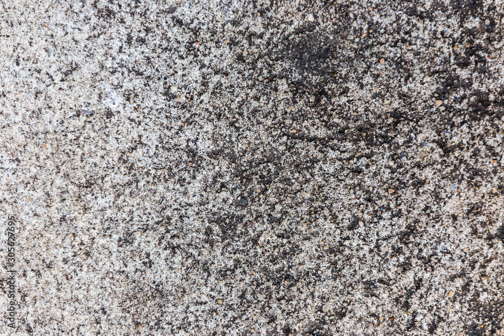 Cement surface Cement surface