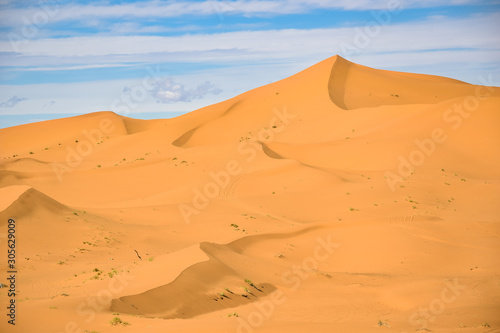 Sahara Desert  dunes in Morocco