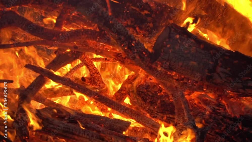 Trees Going Up in Flames in a Forest Fire. Slow motion