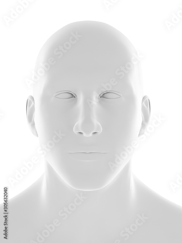 3d rendered medically accurate illustration of the human head