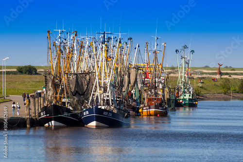 Shrimp boats in the harbour, Greetsiel, Leybucht, Krummhörn, East Frisia, Lower Saxony, Germany, Europe photo