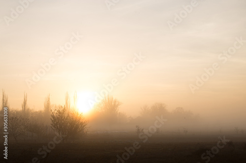 foggy autumn morning © Serjik Ahkhundov