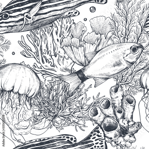 Vector monochrome seamless sea pattern with tropical fish