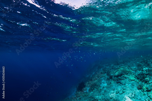 Underwater rocks with coral and fish in blue transparent ocean. National park Menjangan island