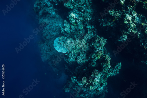 Underwater rocks with coral and fish in blue transparent ocean. National park Menjangan island