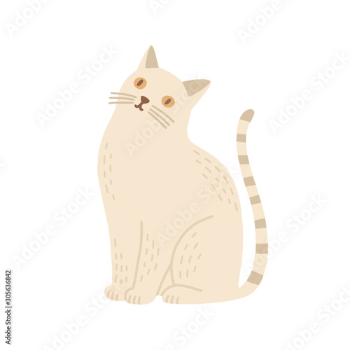 Domestic cat flat vector illustration