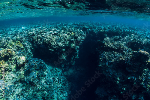 Underwater rocks with coral and fish in blue transparent ocean. National park Menjangan island