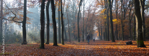 mother and child walk in autumnal forest near zeist in the netherlands