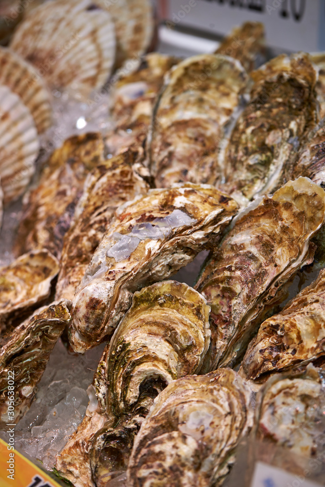 Fresh oysters at fish market 