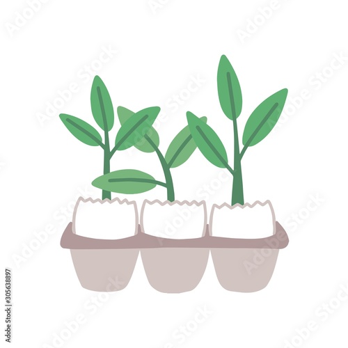 Plant sprouts in eggshell flat vector illustration