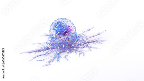 3d rendered illustration of the anatomy of a cancer cell photo