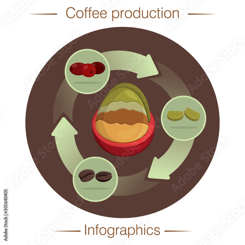Stages of coffee production. Infographics. Harvesting, hulling, roasting