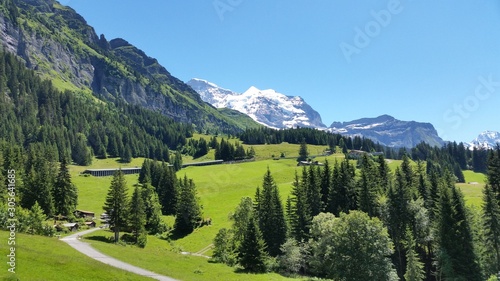 Beautiful scenery in summer time at Switzerland. © Jack