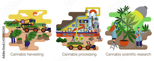 Cannabis, hemp production. Process and manufacturing stages. Illustration set. Equipment, workers, tools and transport. Eco product. Set of isolated icon on white background. Flat cartoon vector 
