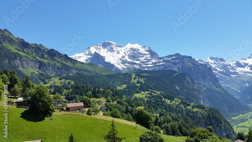 Beautiful scenery in summer time at Switzerland. © Jack