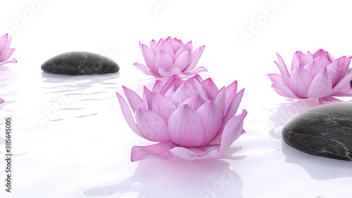 Fotografie 3d rendered spa illustration - lotus flowers and stones