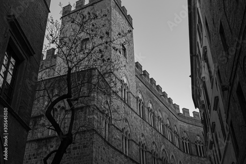 Shot of the historic buildings of the Tuscan city of Pisa, in black and white, with a tree in the foreground