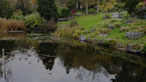 Wlaking though the chinese garden looking acroos the water feature river.  photo