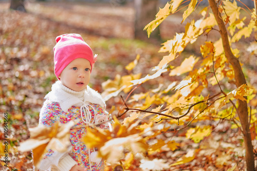 baby in the nature. autumn park