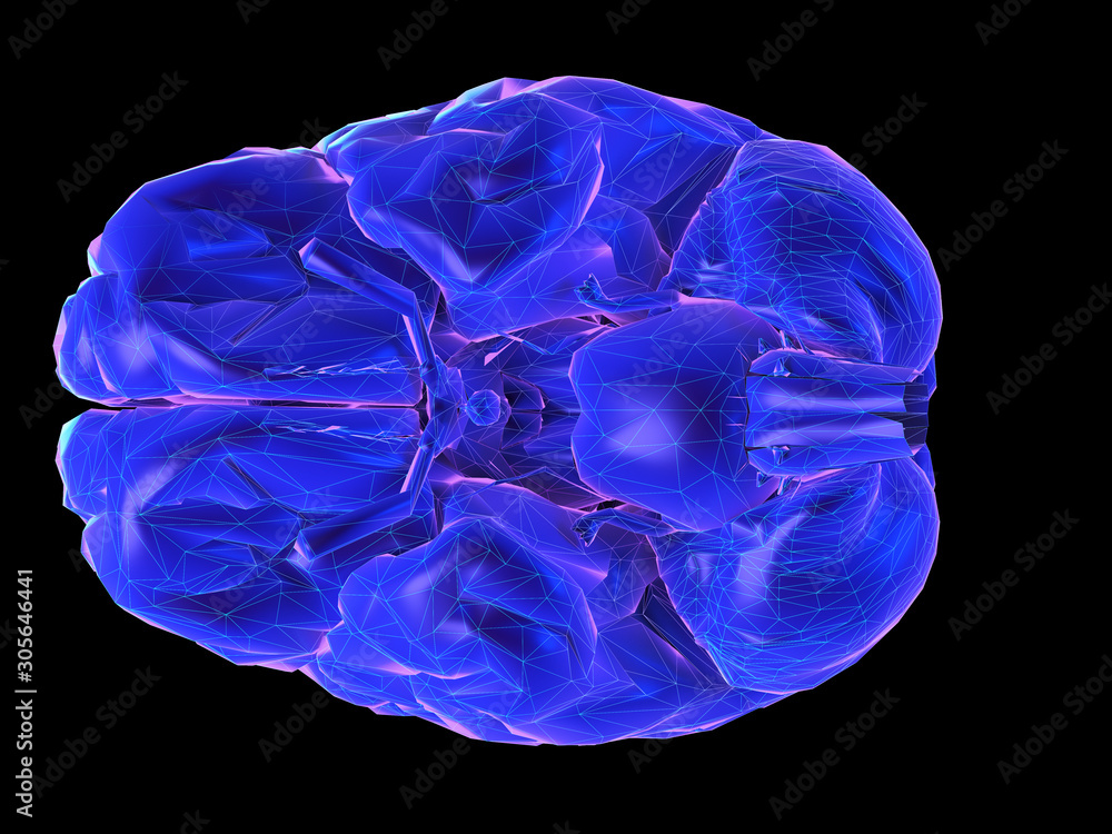3d rendered synthwave style illustration of a human brain 3d rendered synthwave style illustration of a human brain