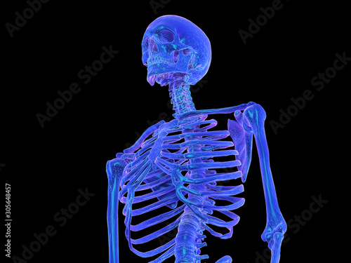 3d rendered abstract synthwave style illustration of a human skeleton photo