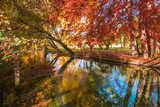 Autumn landscape with wonderful foliage over river Clitunno in Umbria