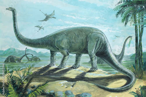 DIPLODOCUS. One of the longest of all dinosaurs, some reaching a length of 90ft (27m). Background: Rhamphorhynchus. Jurassic, about 170 - 135 million years ago. *No. 4 in a series of eight.* 