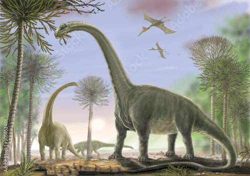 TITANOSAURUS ARGENTINOSAURUS. Titanosaurs include some of the heaviest land animals ever found on earth. Late Cretaceous, about 90 million years ago.