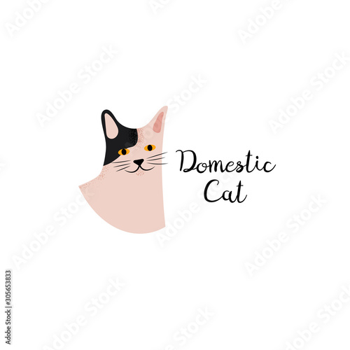 Cute portrait cartoon style of cat. Icon of domestic metis breed for a different design.