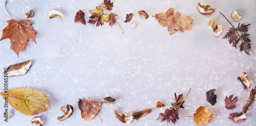 Christmas: dried mushrooms, autumn leaves on white wood and snow.